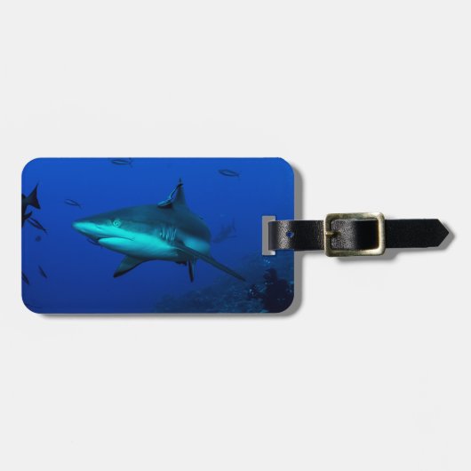 礁の鮫の荷物のラベル ラゲッジタグ (正面横)