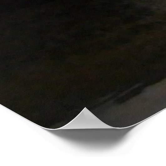 社交的な子猫 ポスター (角)