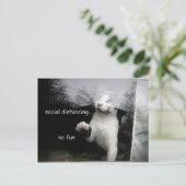 社交的な子猫 ポストカード (スタンド正面)