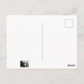 社交的な子猫 ポストカード (裏面)