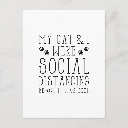 社交的な猫 ポストカード (正面)