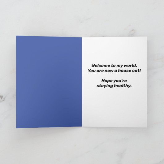 社会おもしろい配達住宅猫笠木 カード (内部)