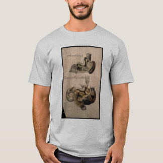 社会主義の十分の胃 Tシャツ