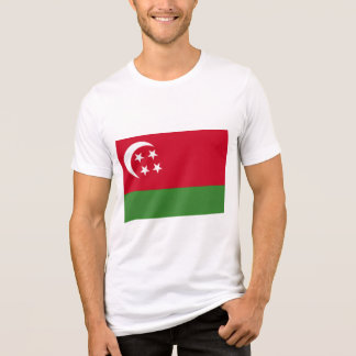 社会主義コモロ国旗Tシャツ トライブレンドＴシャツ