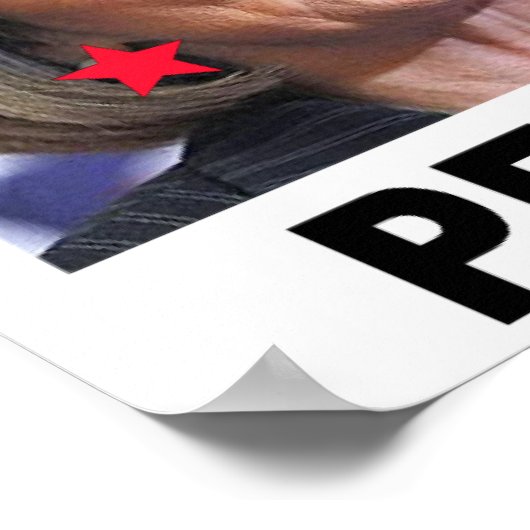 社会主義民主党を弾劾する ポスター (角)