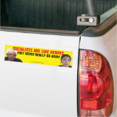 社会主義者は決して行かないヘルペスのよう遠くにだ バンパーステッカー (トラック上)