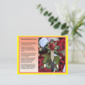 社会勉強、歴史、記念日 ポストカード (スタンド正面)