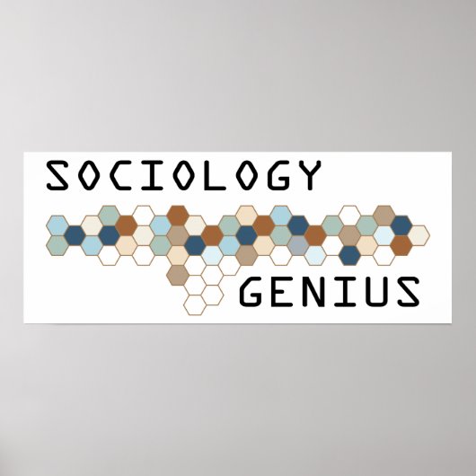 社会学の天才 ポスター (正面)