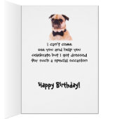 社会的おもしろい距離誕生日よく着飾った犬 (内側 (右))