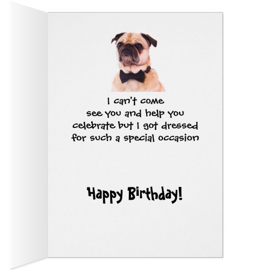 社会的おもしろい距離誕生日よく着飾った犬 (内側 (右))