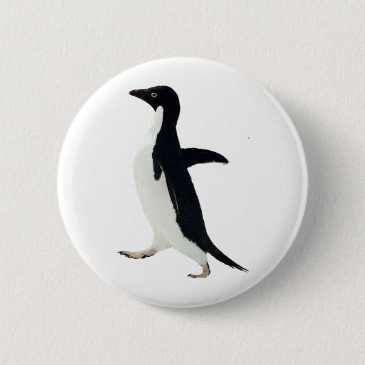 社会的に扱いにくいペンギン 缶バッジ (正面)