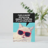 社会的距離感のある猫 – 勇気付けられると対処 ポストカード (スタンド正面)