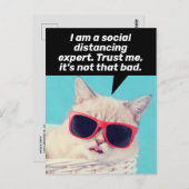 社会的距離感のある猫 – 勇気付けられると対処 ポストカード (正面/裏面)