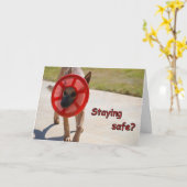 社会的距離犬カード カード (黄色い花)