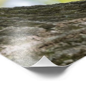 祈のチップムンク フォトプリント            (角)