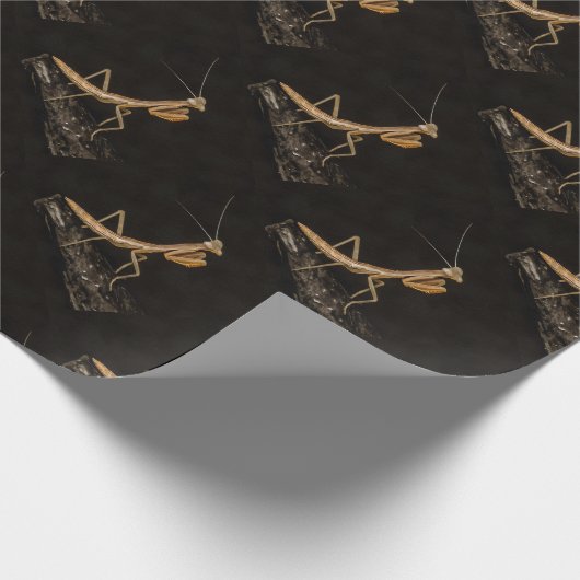 祈のマンティスかわいい不気味な昆虫アート ラッピングペーパー (角)