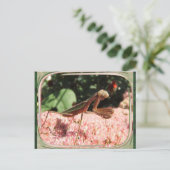 祈のMantis 64 ～はがき ポストカード (スタンド正面)