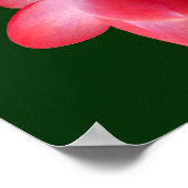 祈りの言葉の聖フランシスとクリスマスサボテン縁ど ポスター (角)