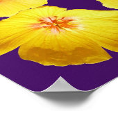 祈りの言葉の聖フランシスとゴールデンポピー縁どズ ポスター (角)