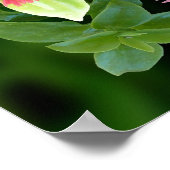 祈りの言葉の聖フランシスと氷植物のフレーム ポスター (角)