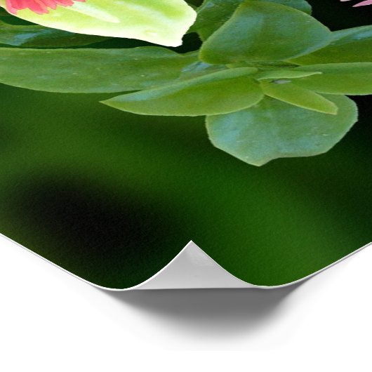 祈りの言葉の聖フランシスと氷植物のフレーム ポスター (角)