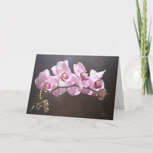 祈りの言葉への答え カード (正面)