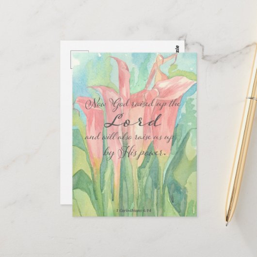 祈りの言葉カード1コリント目ピンクカラユリ花 ポストカード (正面/裏面インサイチュ)