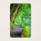 祈りの言葉カード |森の中の道 (正面)