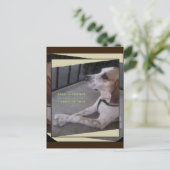 祈りの言葉ドッグポーズはがき ポストカード (スタンド正面)