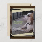 祈りの言葉ドッグポーズはがき ポストカード (正面/裏面)