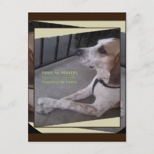 祈りの言葉ドッグポーズはがき ポストカード (正面)