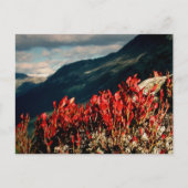 祈りの言葉 ポストカード (正面)