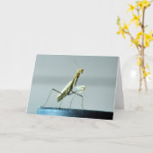 祈るカマキリの写真が付いている空白のな挨拶状 カード (黄色い花)