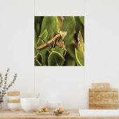 祈ズポートレート昆虫芸術 ポスター (キッチン)