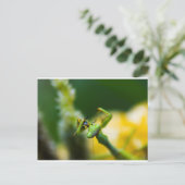 祈マンチ食べスの餌食 ポストカード (スタンド正面)