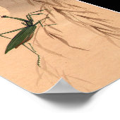 祈マンティスと月日本の芸術c.1800年代 ポスター (角)