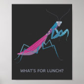 祈マンティスカスタム文字 ポスター (正面)