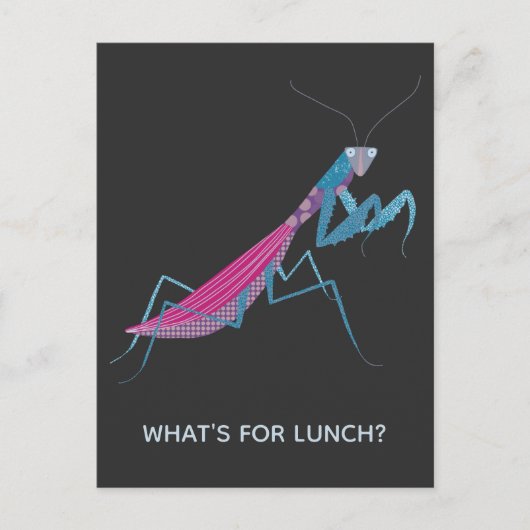 祈マンティスカスタム文字 ポストカード (正面)