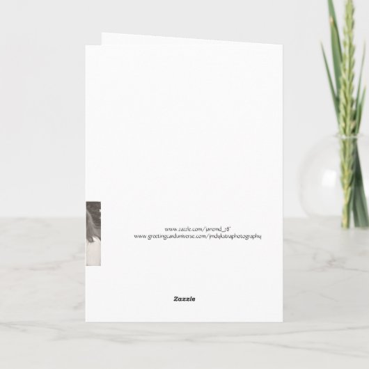 祈心地よい カード (裏面)