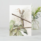 祈水色 招待状 (スタンド正面)