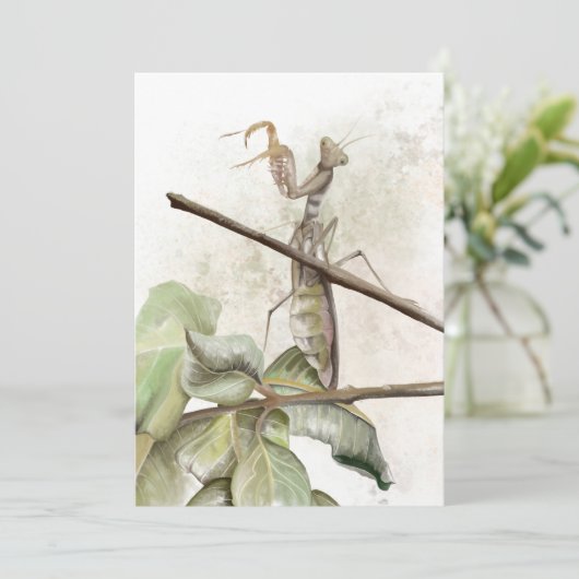 祈水色 招待状 (スタンド正面)