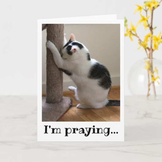 祈白黒猫 カード (黄色い花)