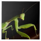 祈虫歯 タイル (正面)