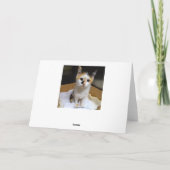 祖母が子猫を箱に入れたハッピーバースデー カード (裏面)