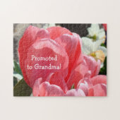 祖母に促進されて妊娠の発表を困惑させます ジグソーパズル (横)