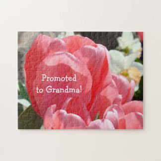 祖母に促進されて妊娠の発表を困惑させます ジグソーパズル