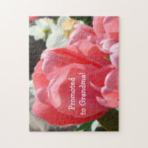 祖母に促進されて妊娠の発表を困惑させます