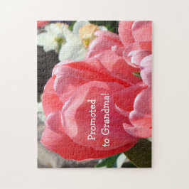 祖母に促進されて妊娠の発表を困惑させます ジグソーパズル