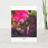 祖母のハッピーバースデーのハチドリ カード (裏面)