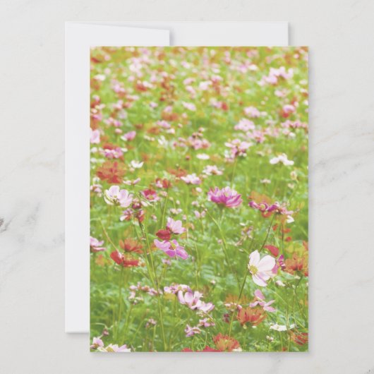 祖母の喪悔やみや弔慰 カード (裏面)